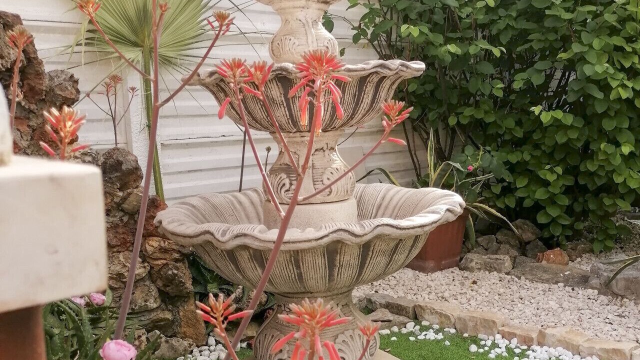 Photo of Outdoor in Trani