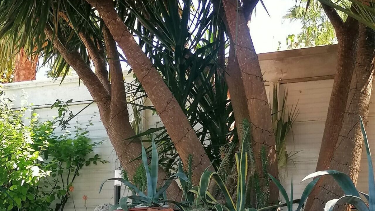 Photo of Outdoor in Trani