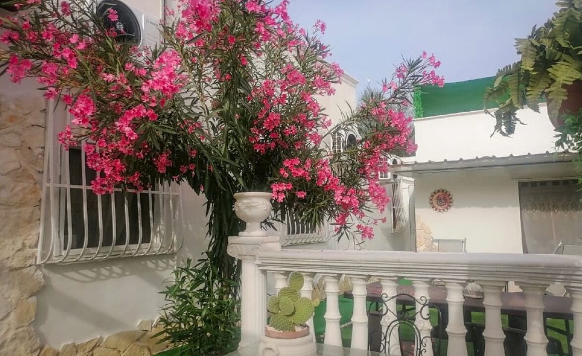 Photo of Patio Balcony in Trani