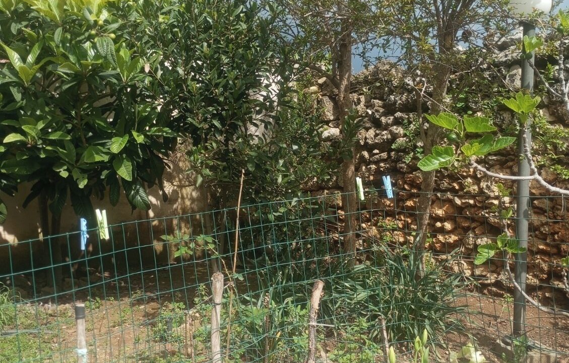 Photo of Outdoor in Calimera
