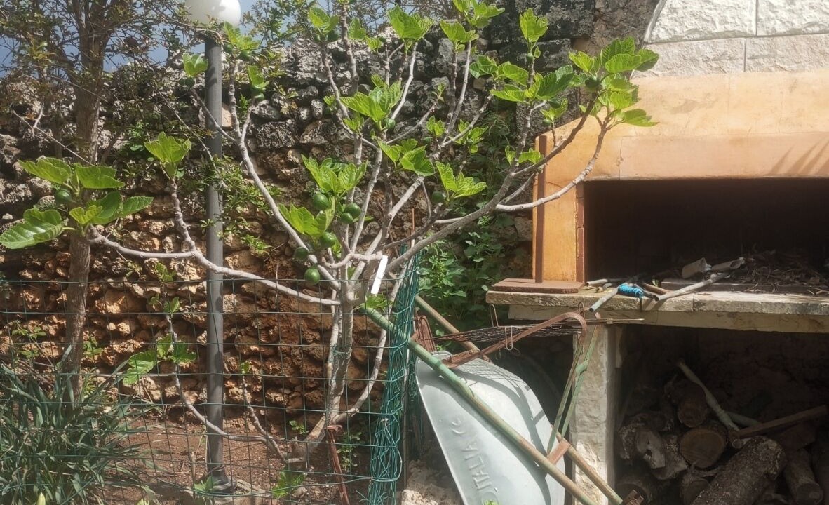 Photo of Outdoor in Calimera