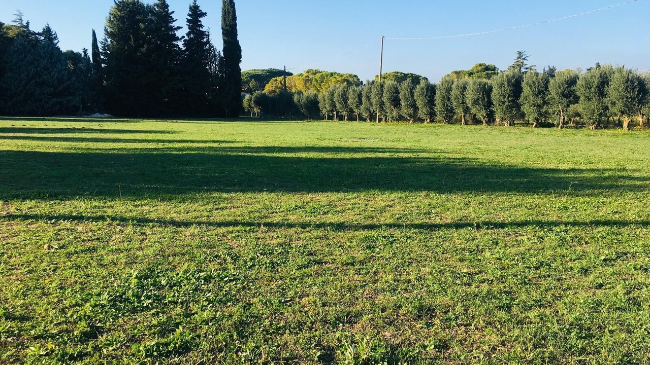 Photo of Others in Mottola