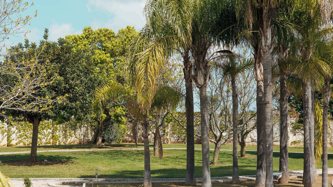 Photo of Outdoor in Trepuzzi