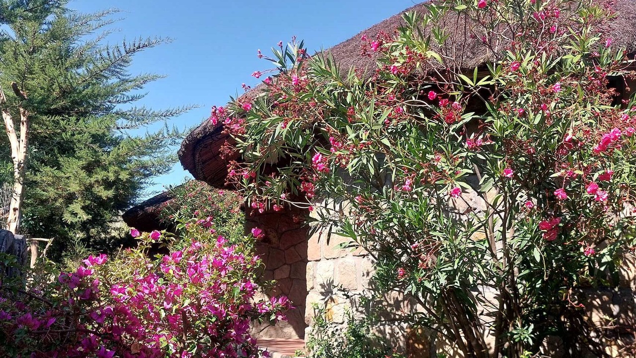 Photo of Outdoor in Lalibela