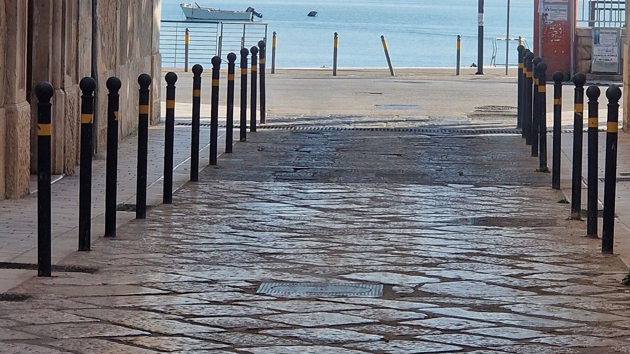 Photo of Others in Manfredonia