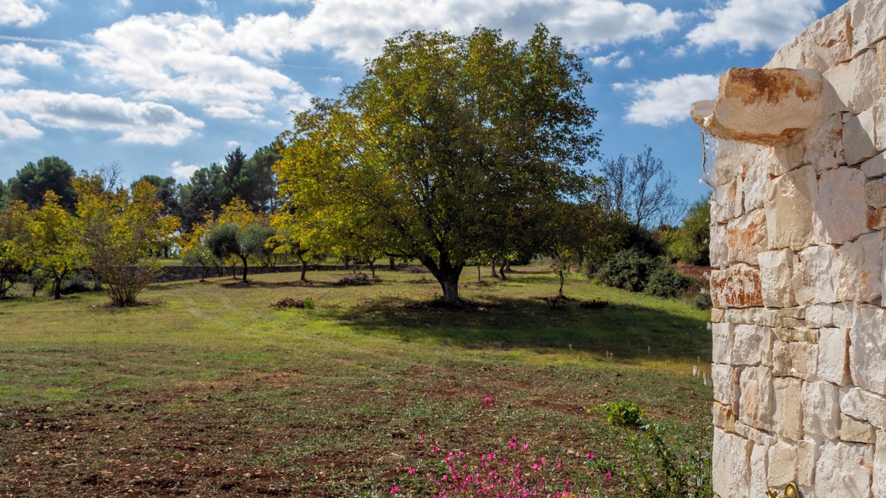 Photo of Outdoor in Martina Franca