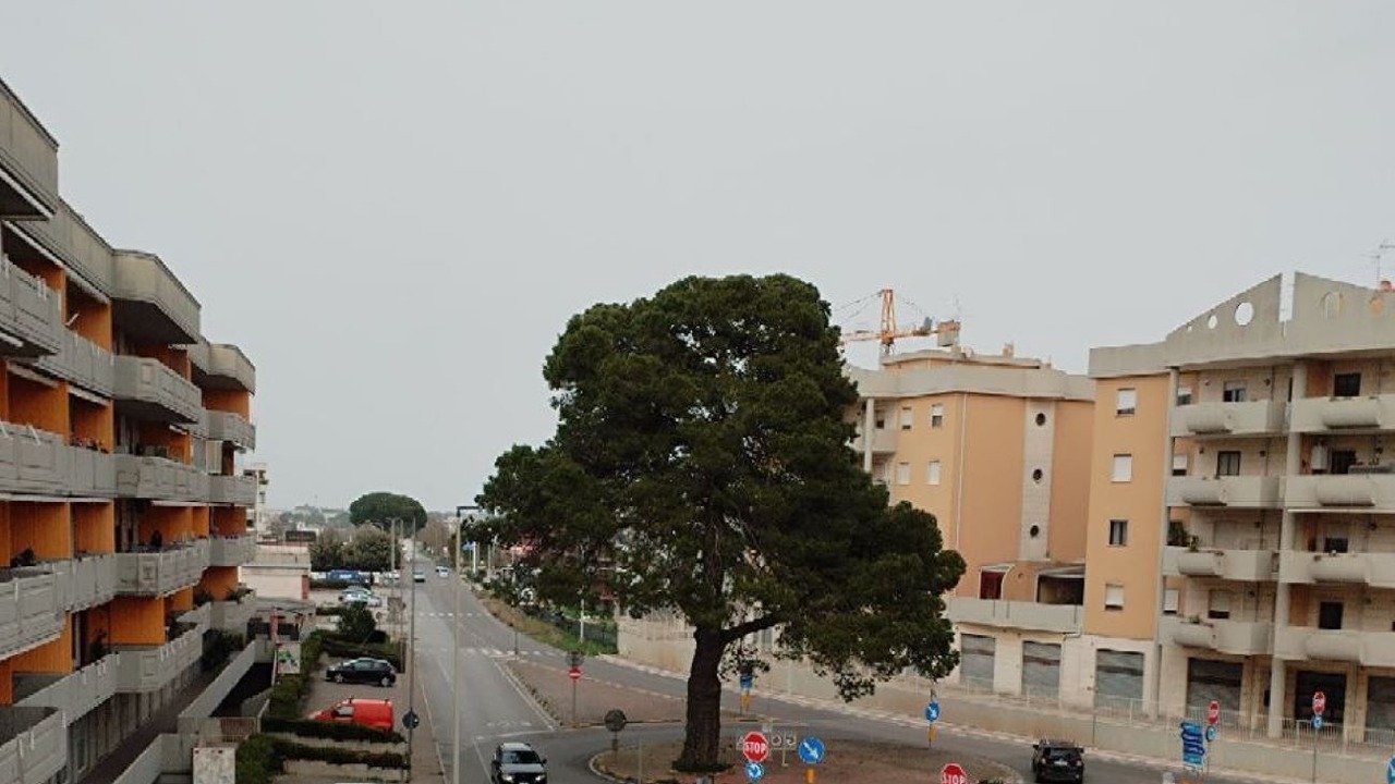 Photo of Others in Gioia del Colle