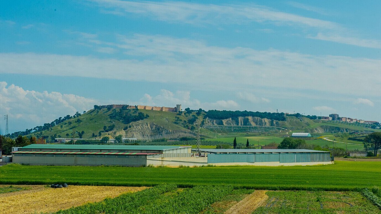 Photo of Others in Lucera