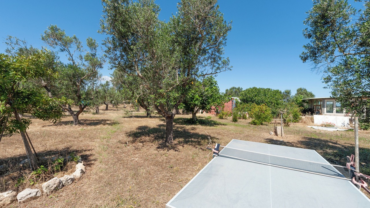 Photo of Outdoor in Giorgilorio