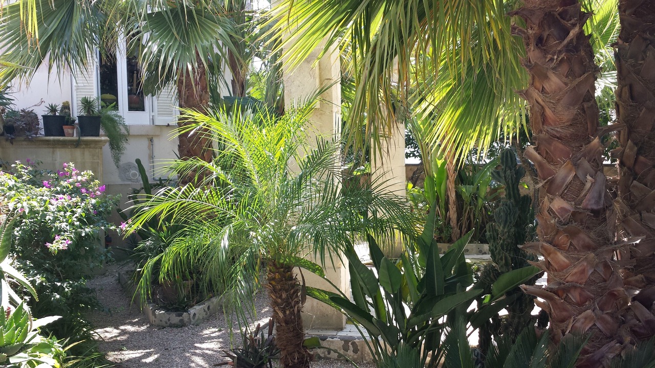 Photo of Outdoor in Cutrofiano