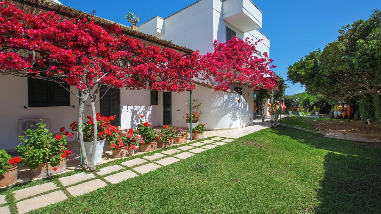 Photo of Outdoor in Torre Specchia Ruggeri