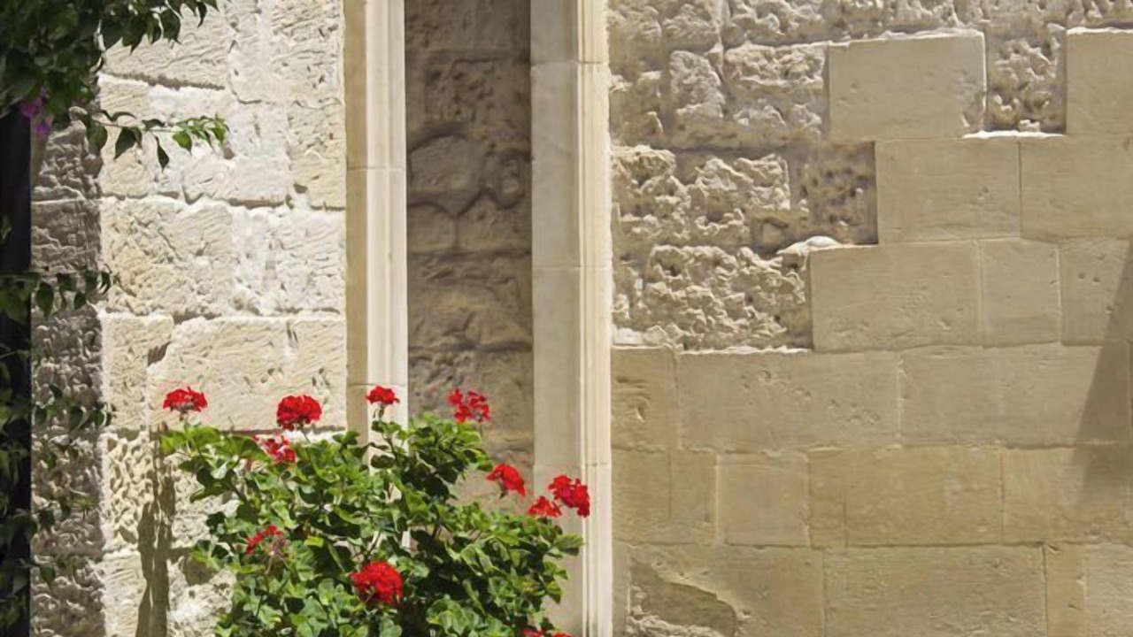 Photo of Outdoor in Casamassella