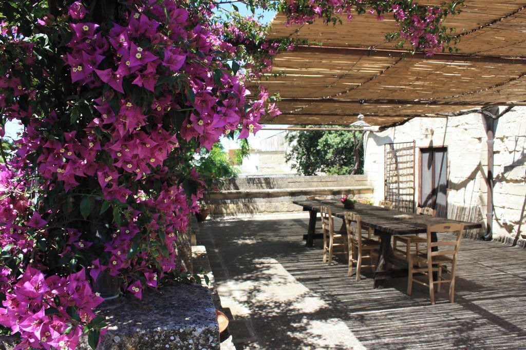 Photo of Outdoor in Casamassella