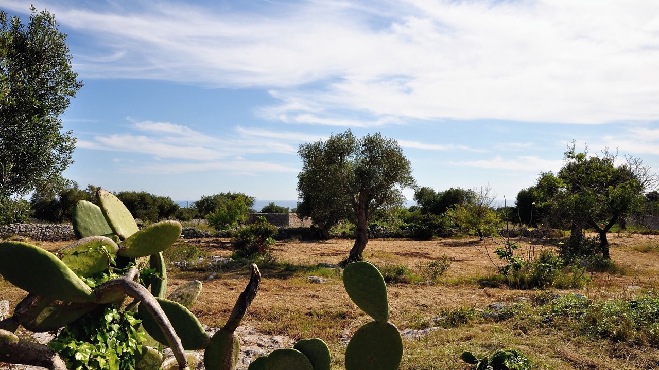 Photo of Outdoor in Torre Vado