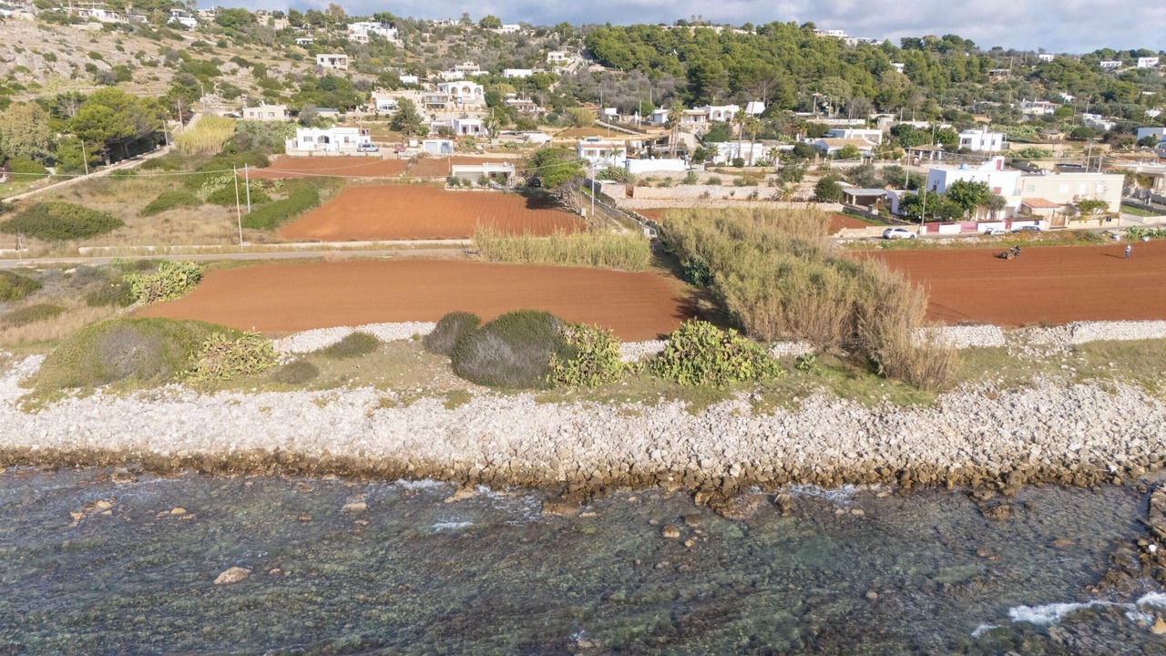 Photo of Others in Torre Vado