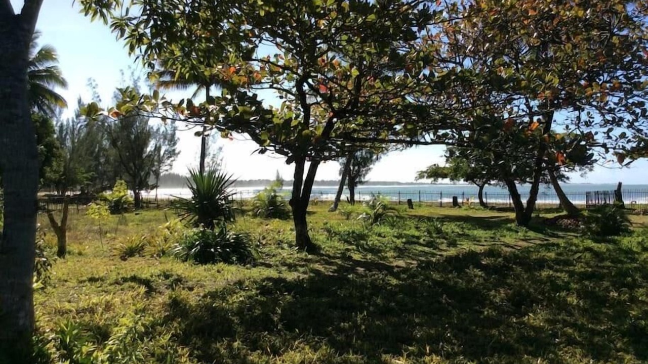 Photo of Others in Madagascar