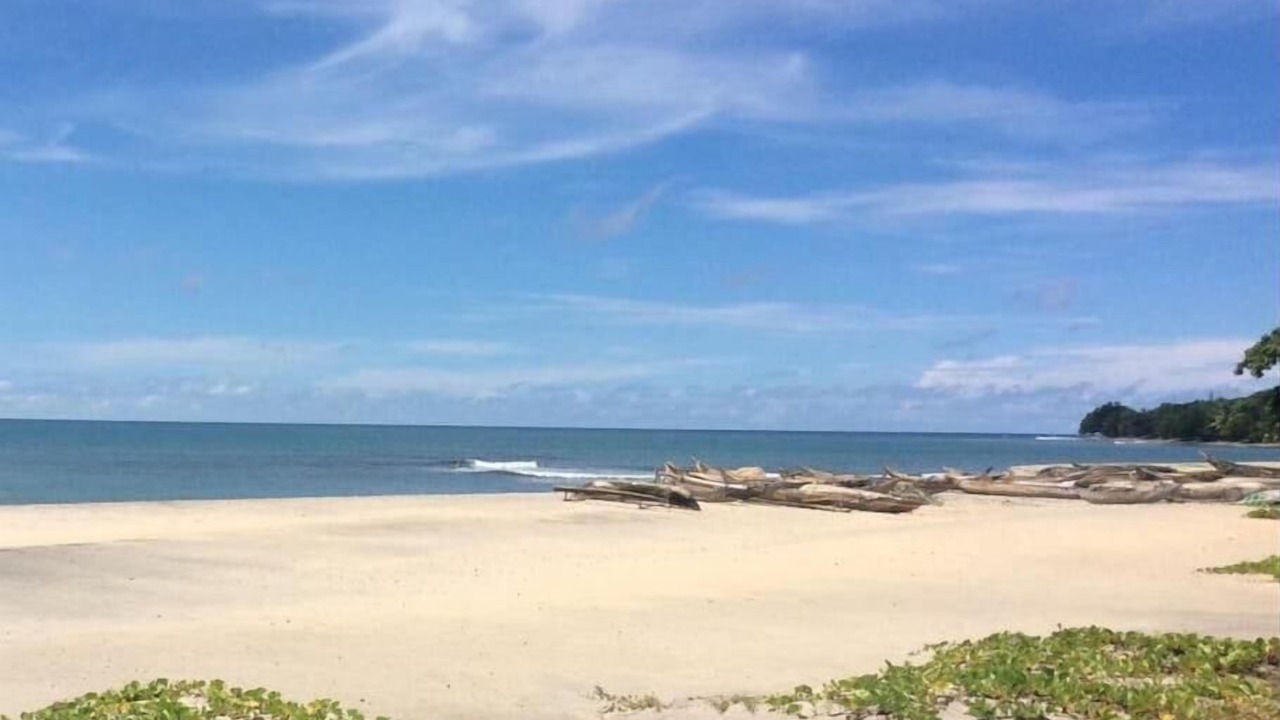 Photo of Others in Madagascar