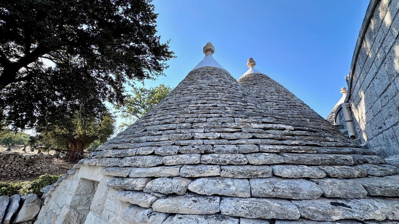 Photo of Others in Martina Franca