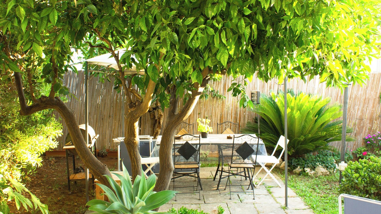 Photo of Outdoor in Serrano