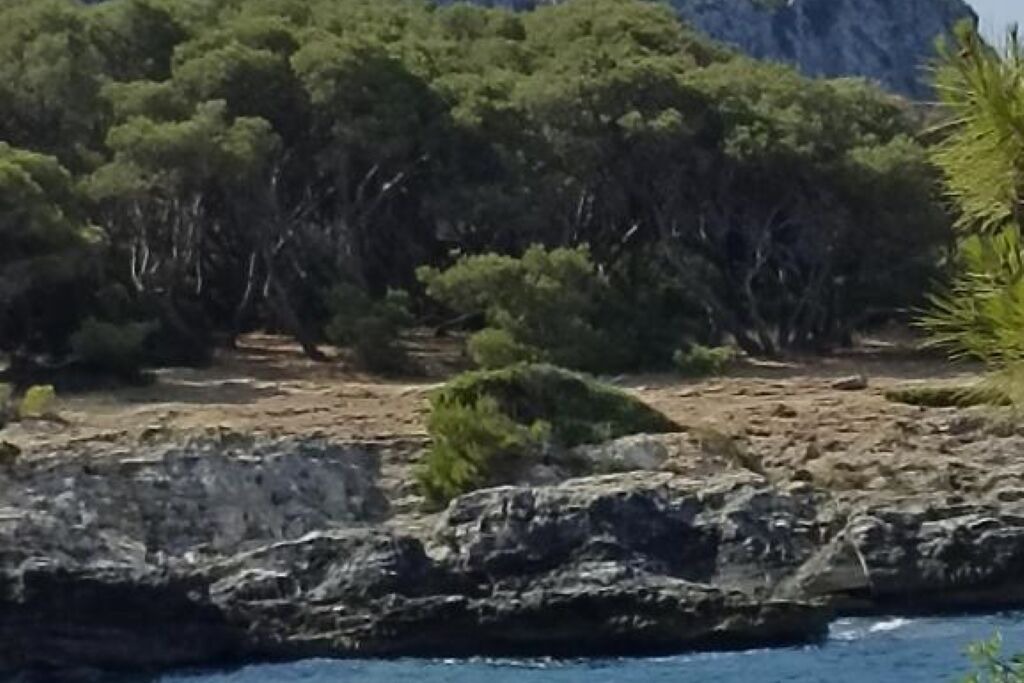 Photo of Others in Nardo
