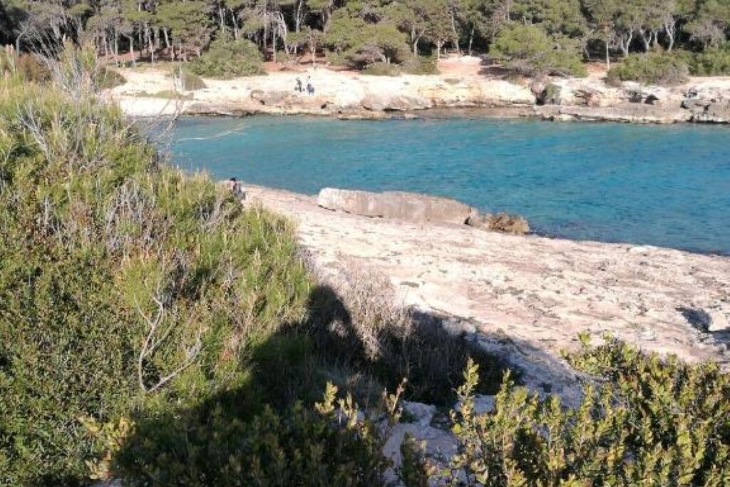 Photo of Others in Nardo