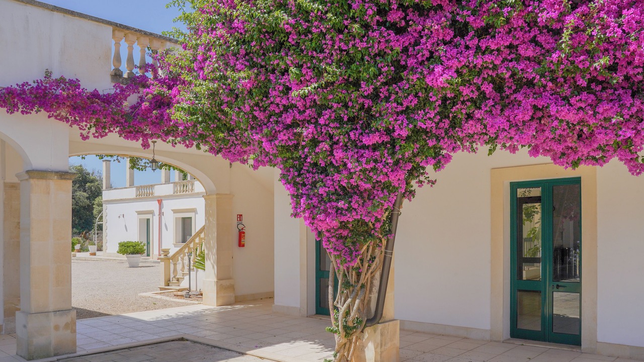 Photo of Outdoor in Calimera
