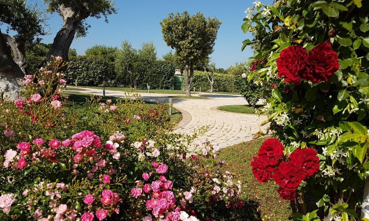Photo of Outdoor in Conversano