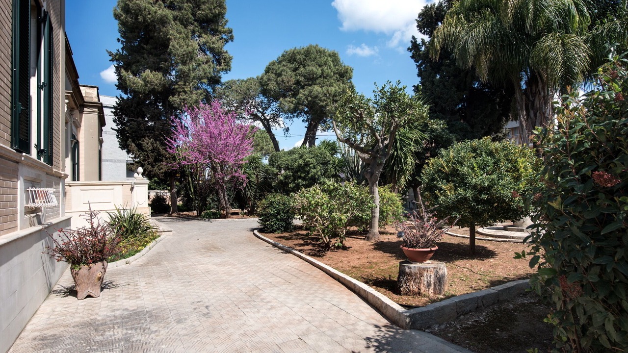 Photo of Outdoor in Giorgilorio