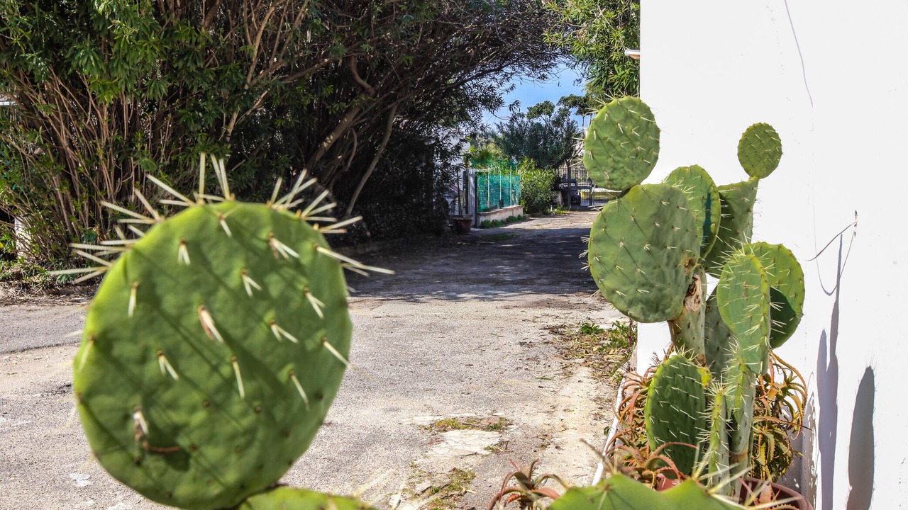 Photo of Outdoor in Taranto