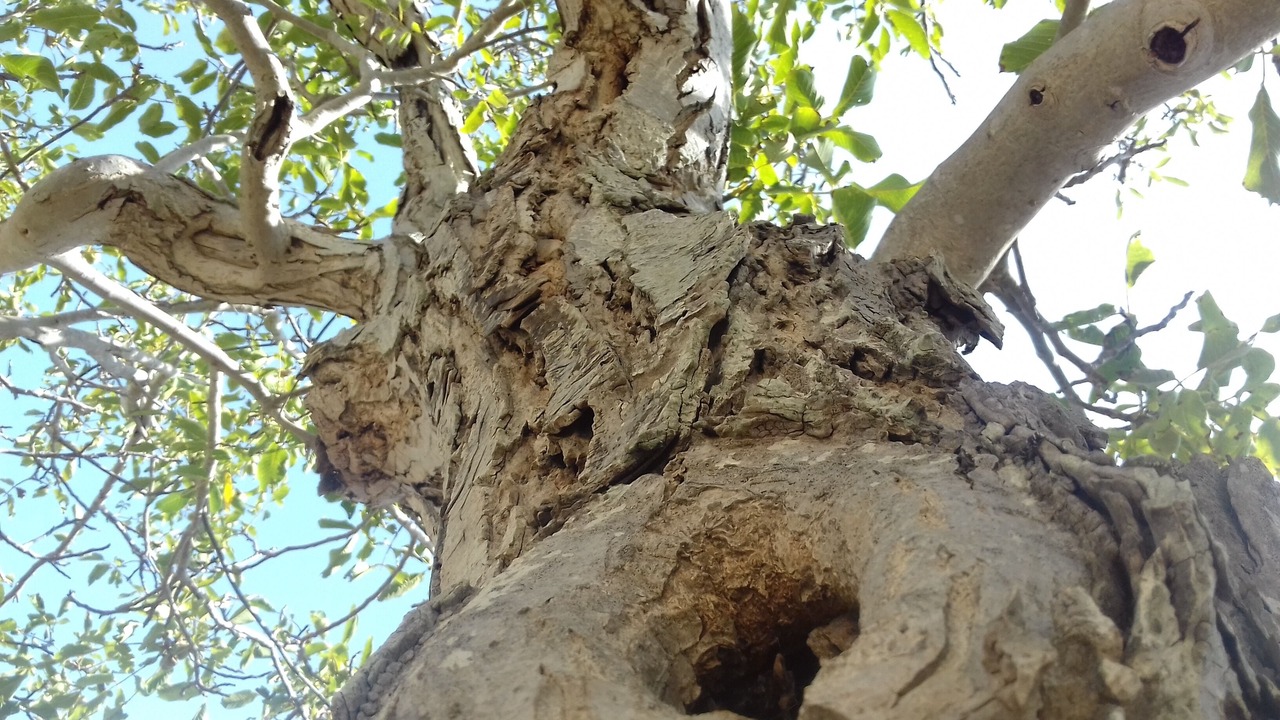 Photo of Outdoor in Locorotondo