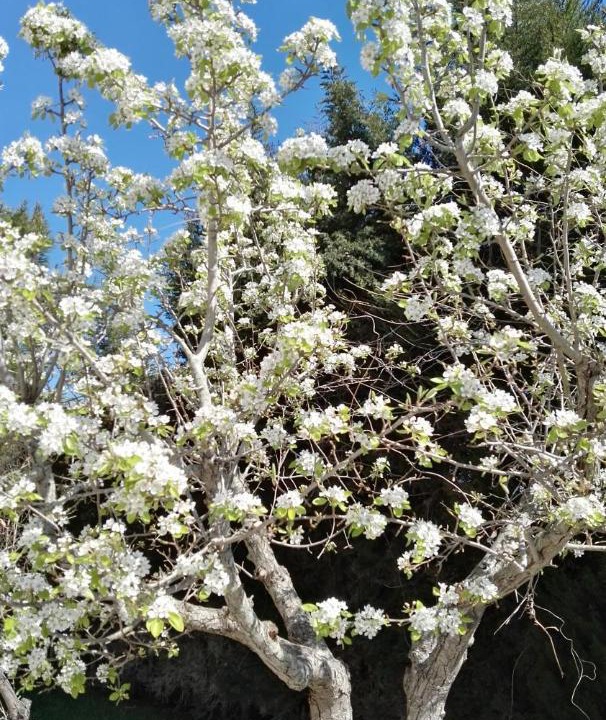 Photo of Outdoor in Lendinuso