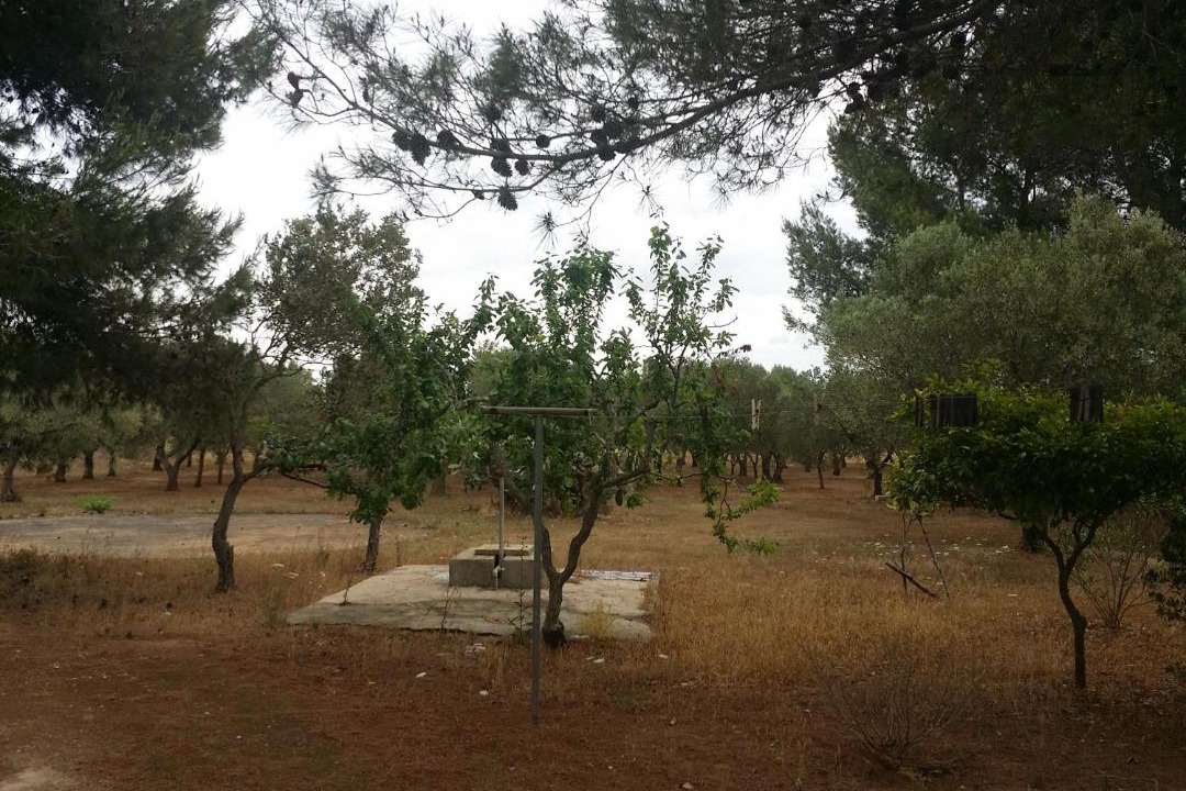 Photo of Others in Avetrana