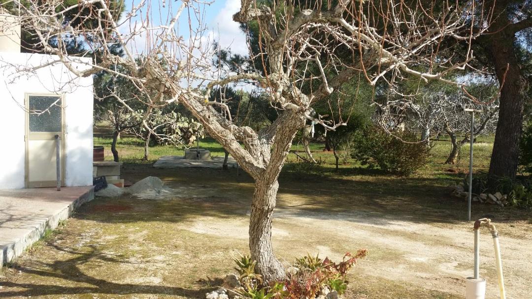 Photo of Others in Avetrana