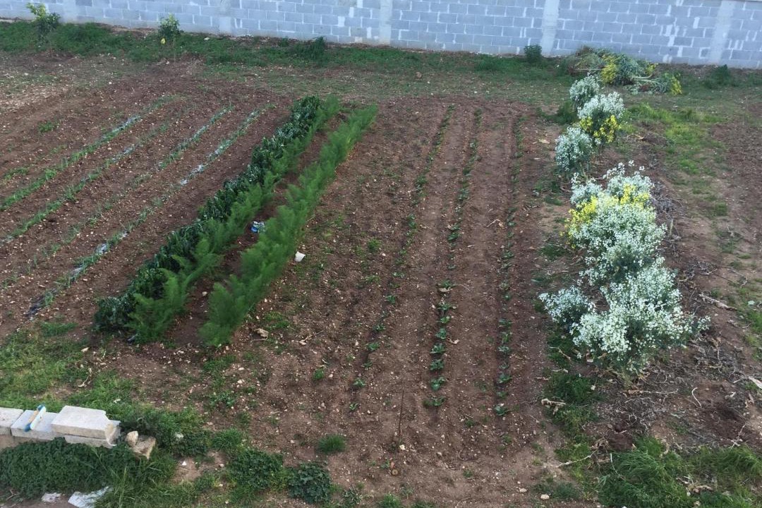 Photo of Others in Casamassella