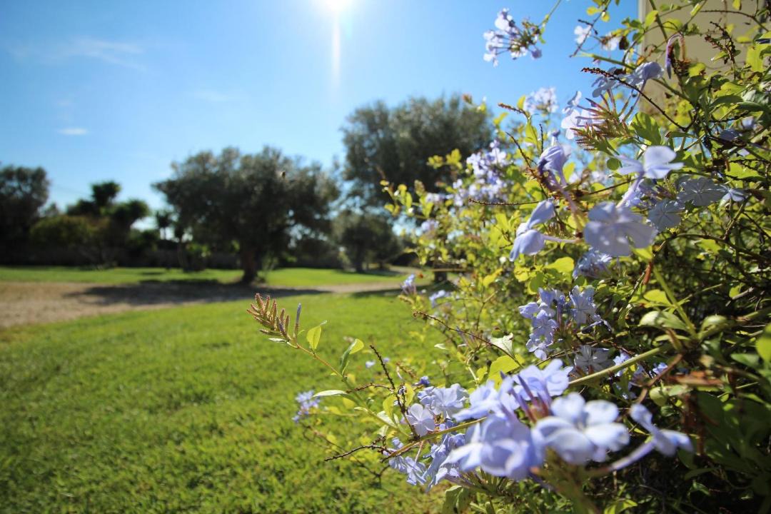 Photo of Outdoor in Marina di Pescoluse