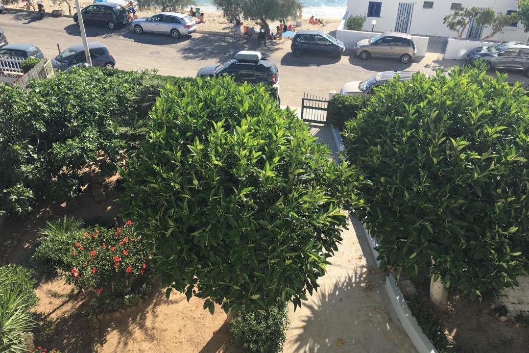 Photo of Others in Lido Conchiglie