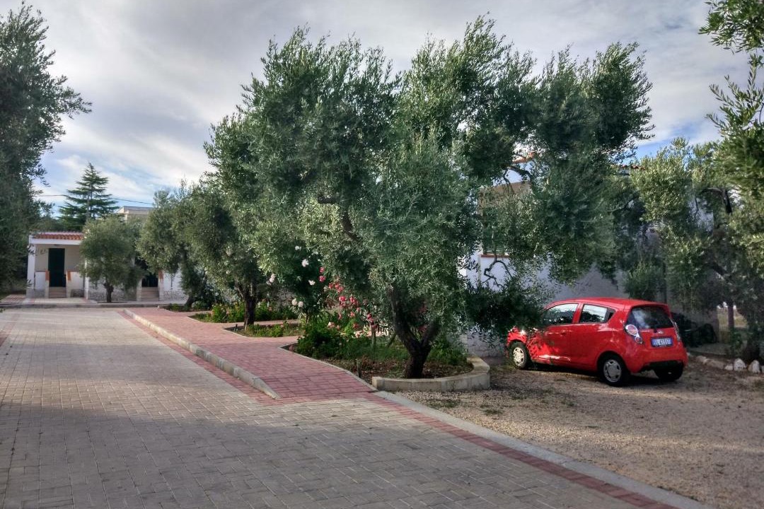 Photo of Others in Montincello