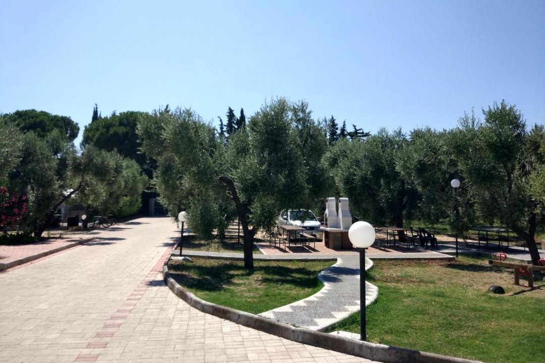 Photo of Others in Montincello