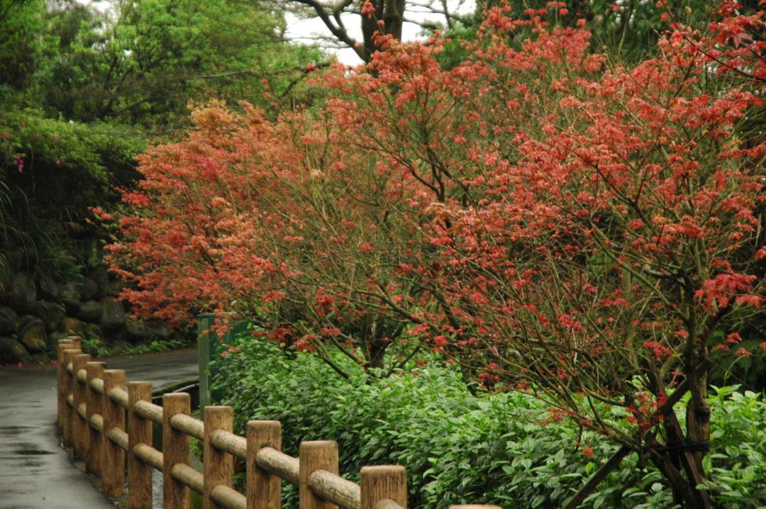 Photo of Outdoor in Sanzhi