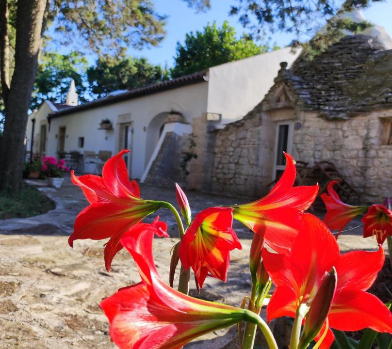 Photo of Others in Gioia del Colle