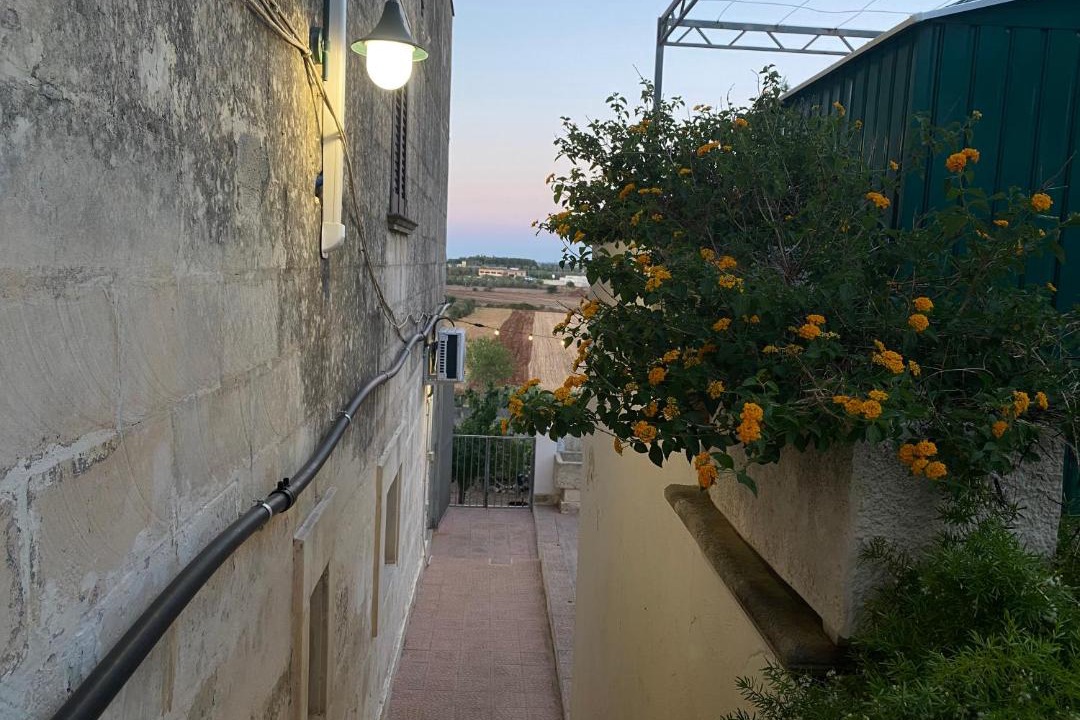 Photo of Others in Scorrano
