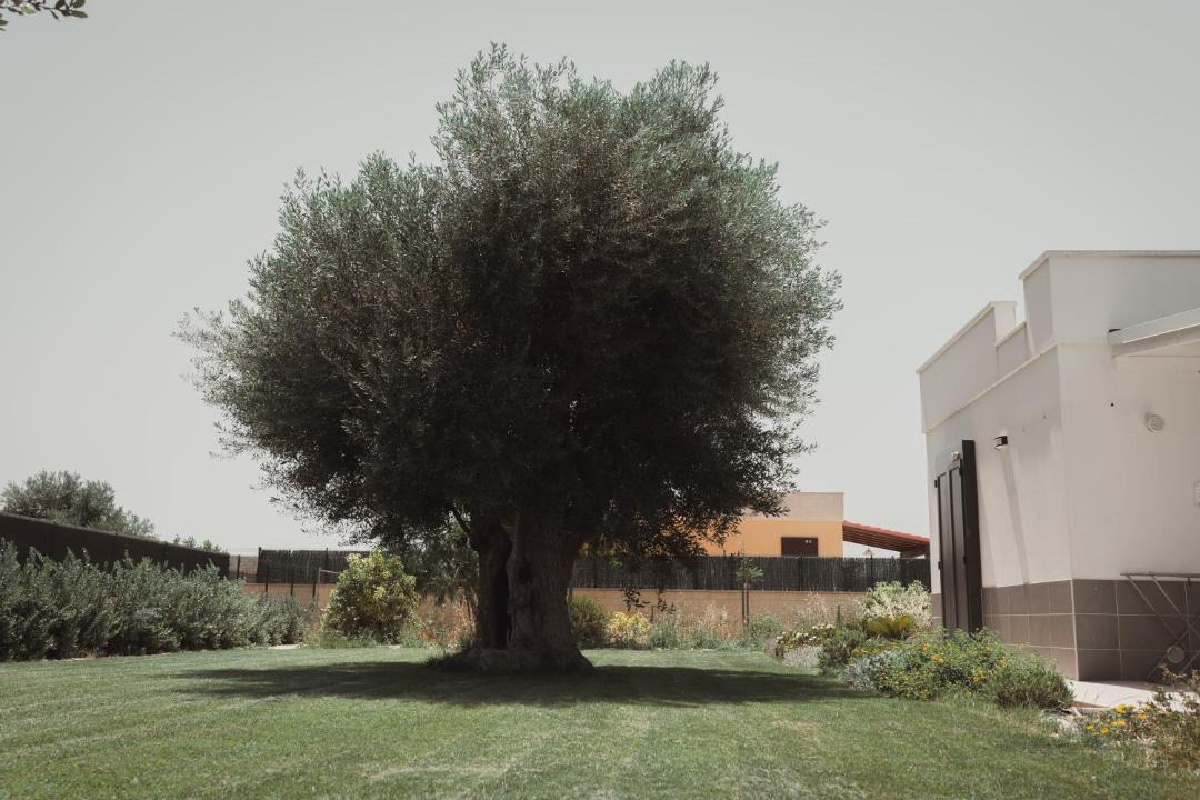 Photo of Others in Taranto