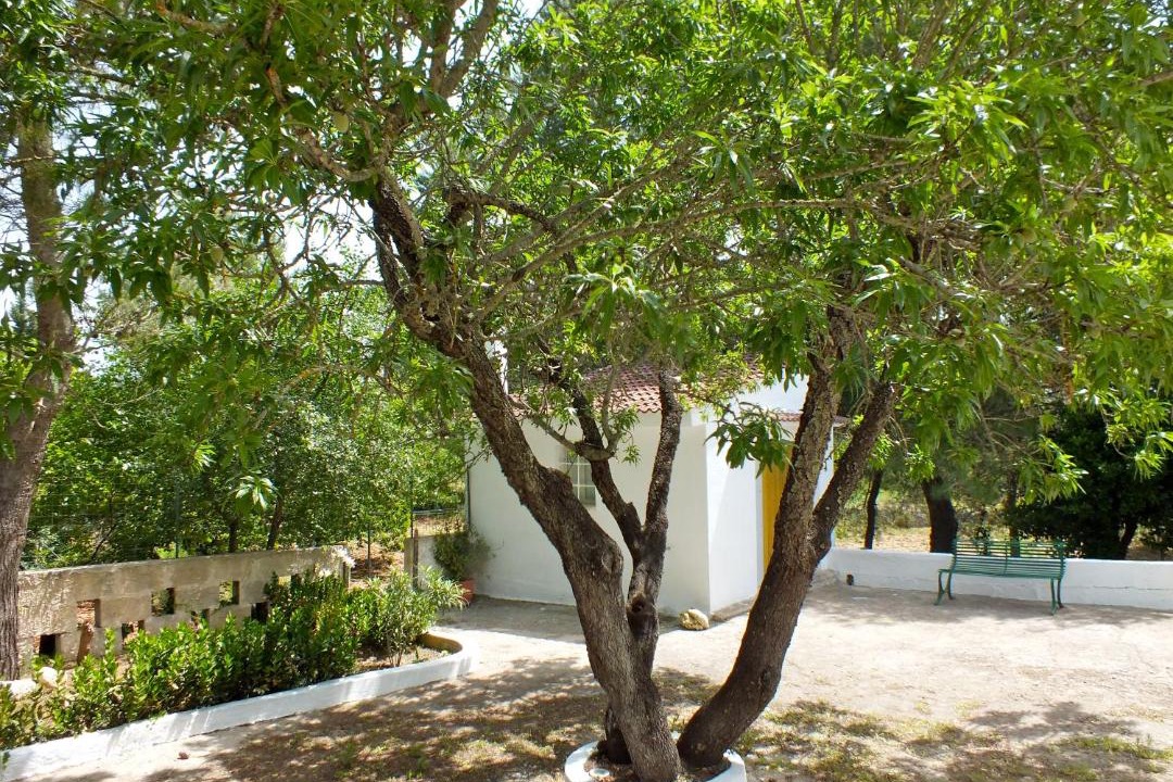 Photo of Others in Ceglie Messapica