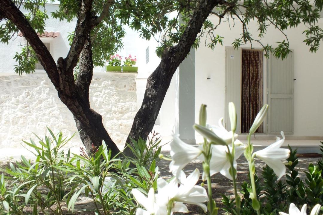 Photo of Others in Ceglie Messapica