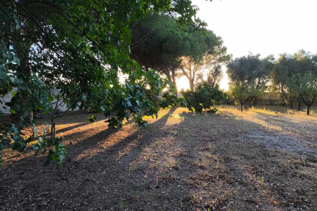 Photo of Outdoor in Giorgilorio