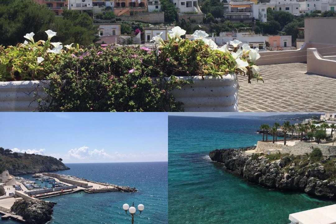 Photo of Others in Marittima