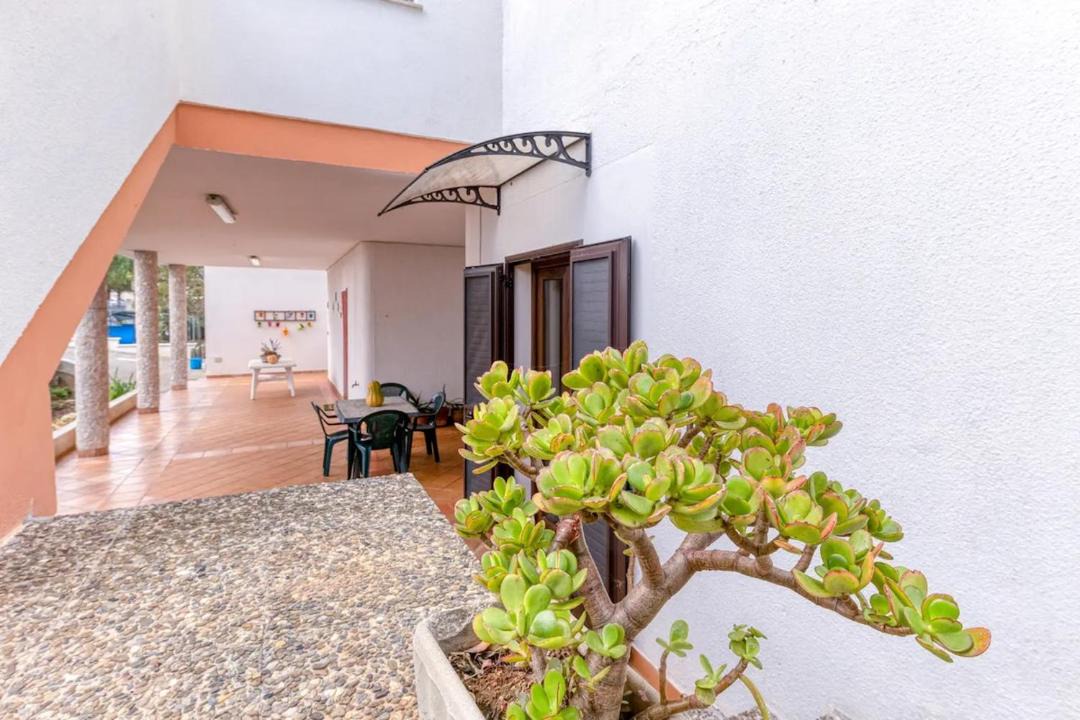 Photo of Patio Balcony in Diso