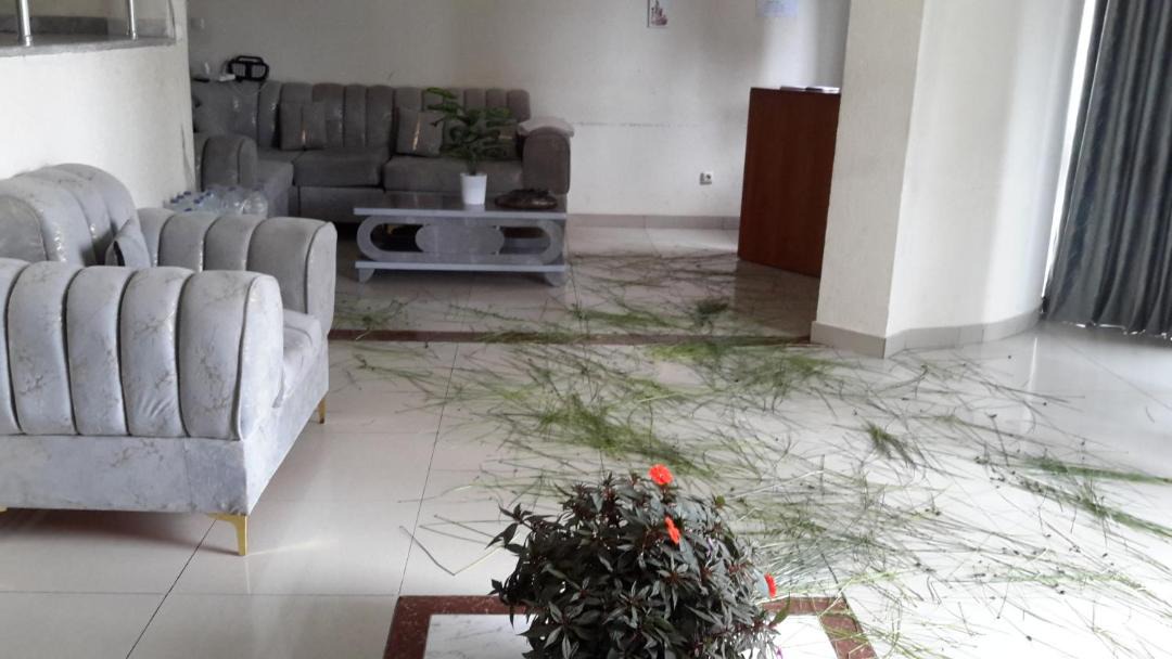 Photo of Livingroom in Yeka