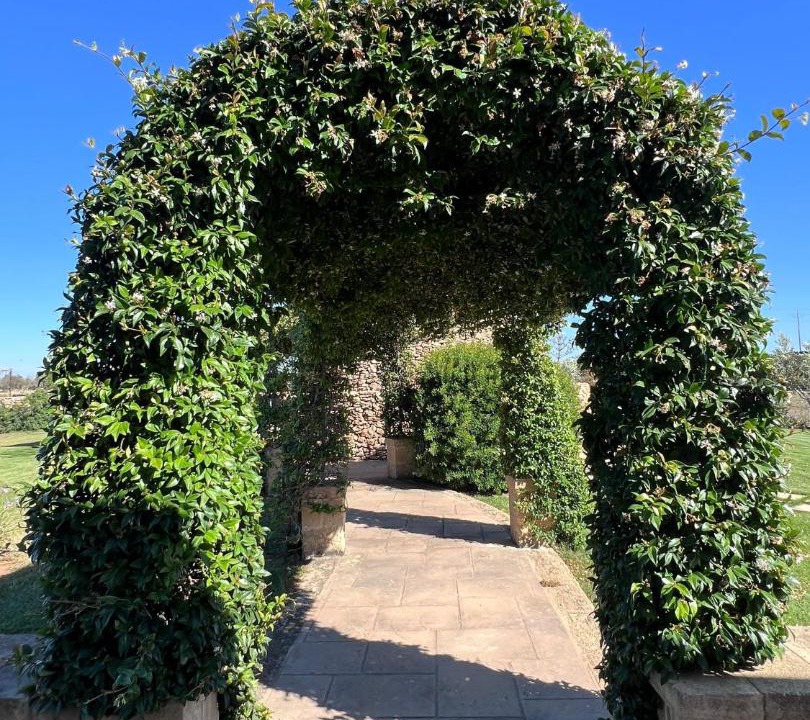 Photo of Outdoor in Alezio