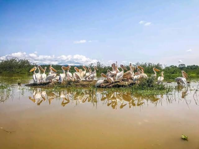 Photo of Others in Amhara Region